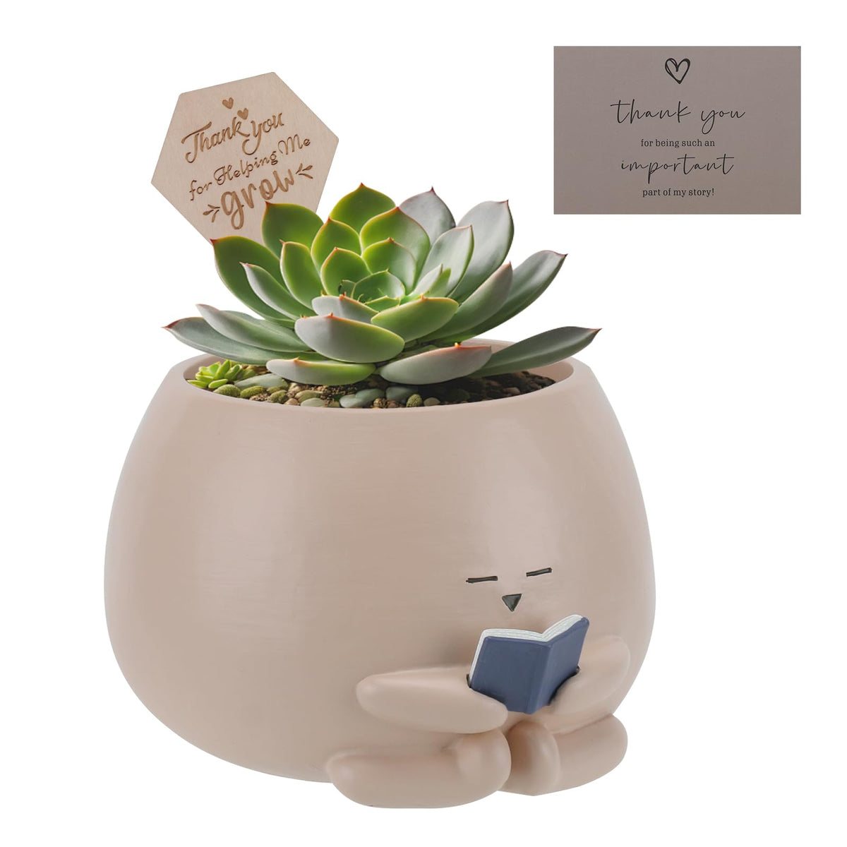 Onzbala Bookworm Planter Pot front view with brown finish