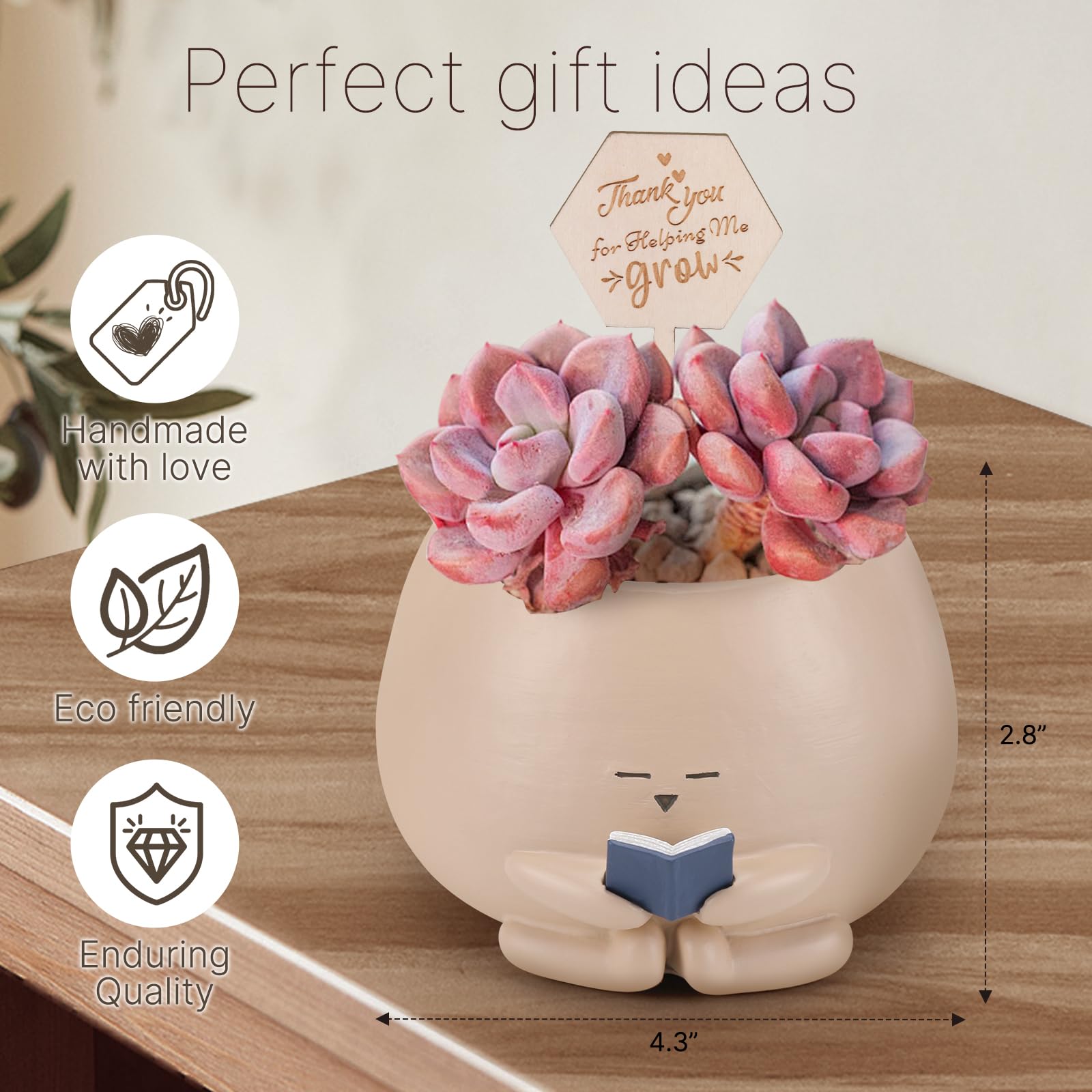 Onzbala Bookworm Planter Pot with small succulent plant