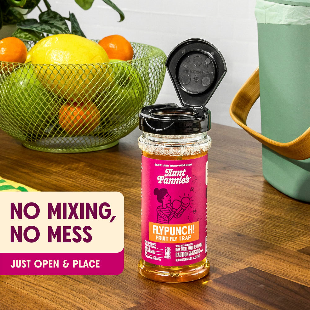 Open Aunt Fannie's FlyPunch Fruit Fly Trap showing attractant