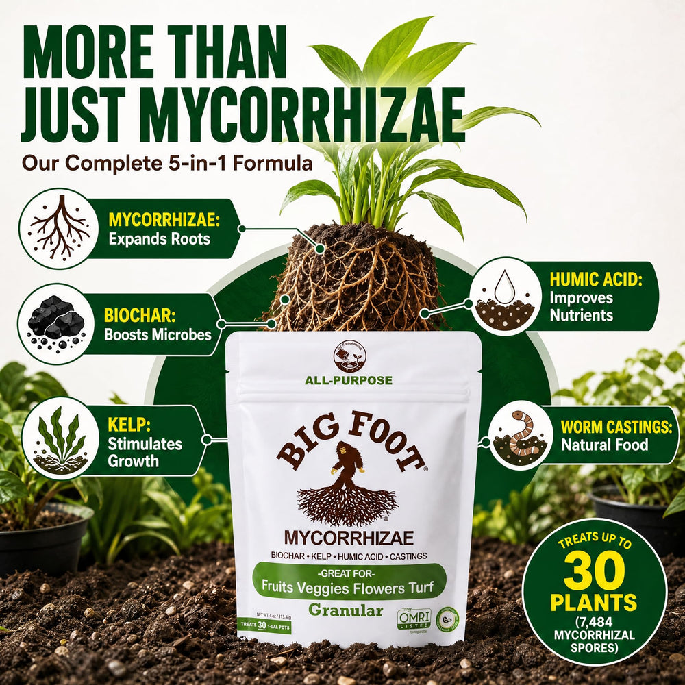 Open bag of Big Foot Mycorrhizal Fungi showing granules