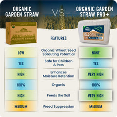 Open Blue Mountain Hay Organic Garden Straw Mulch 5lb showing straw texture