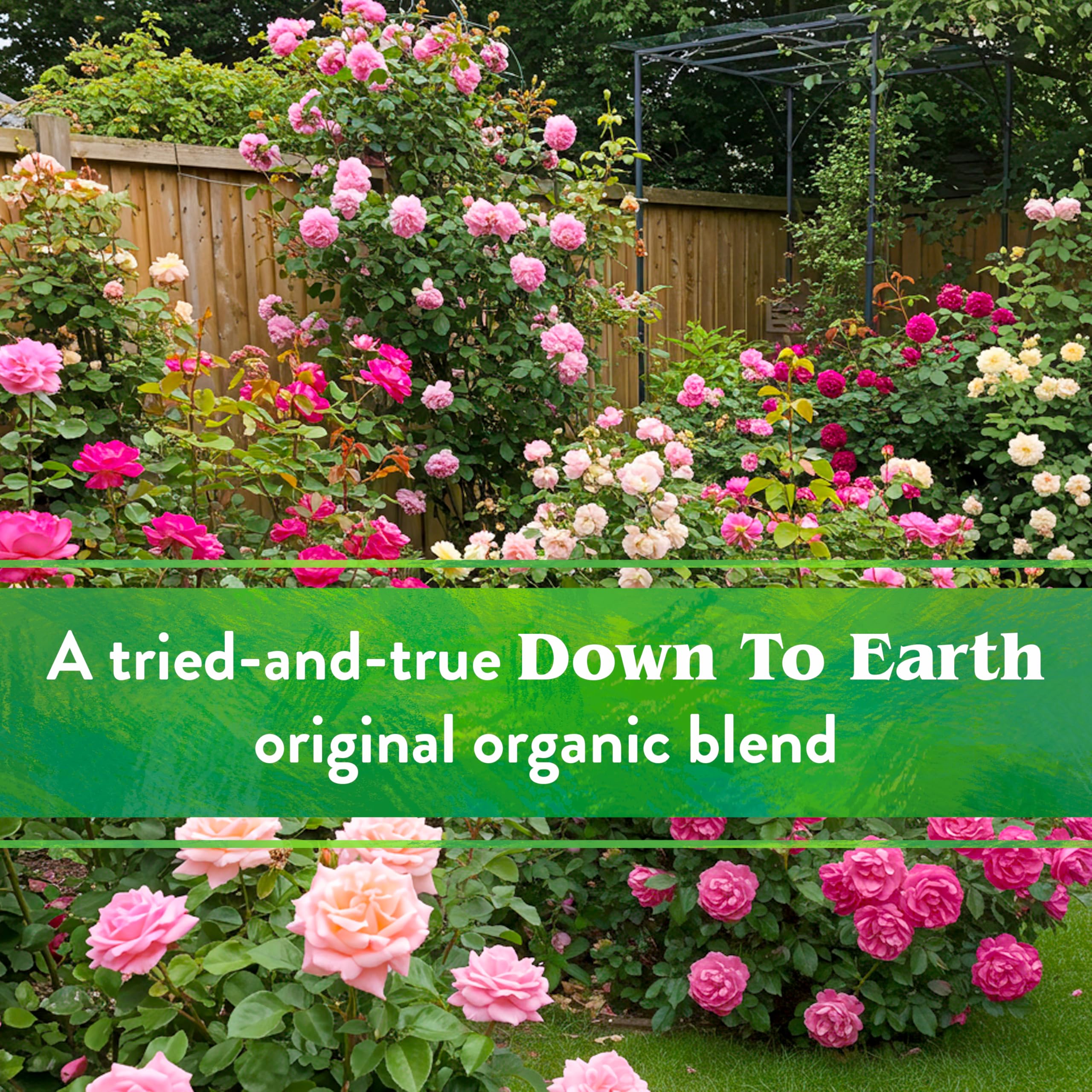 Open Down To Earth Organic Rose & Flower Fertilizer box showing granules