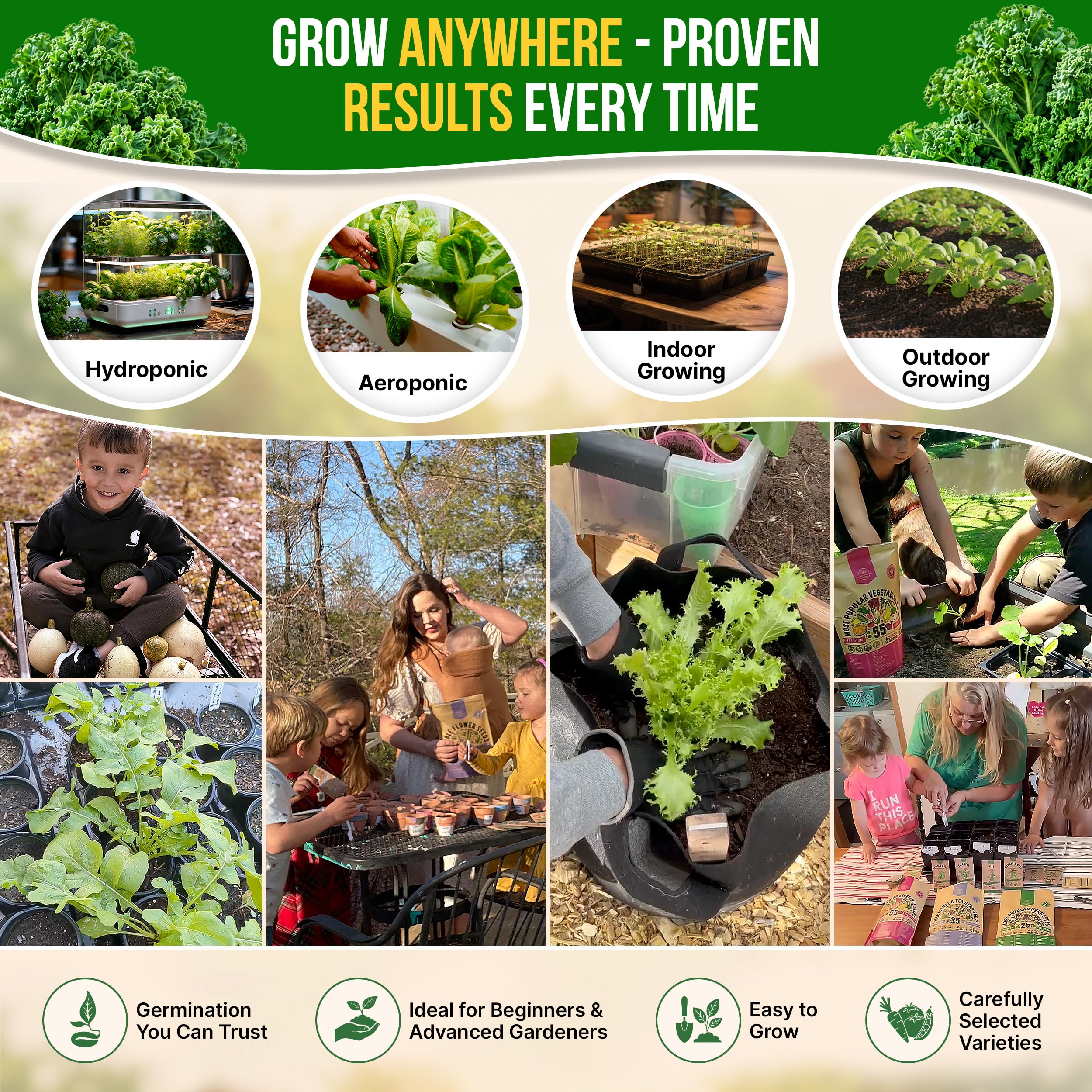 Open packet of Kale Dwarf Siberian seeds on gardening table