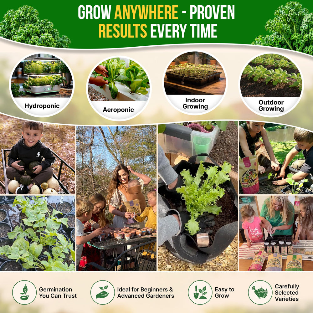 Open packet of Kale Dwarf Siberian seeds on gardening table