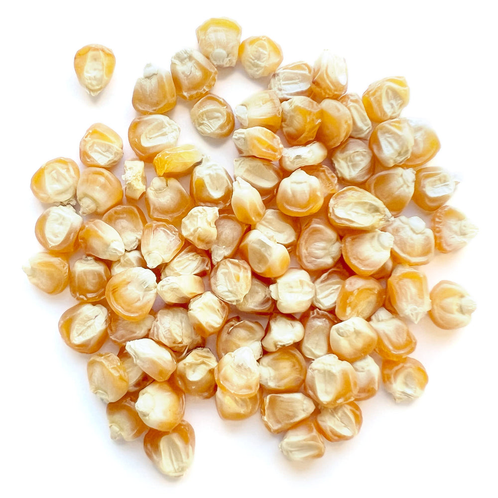 Open packet showing Golden Bantam Sweet Corn seeds
