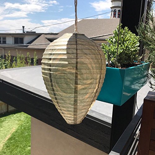 Open Patio Eden Wasp Nest Decoy showing realistic design