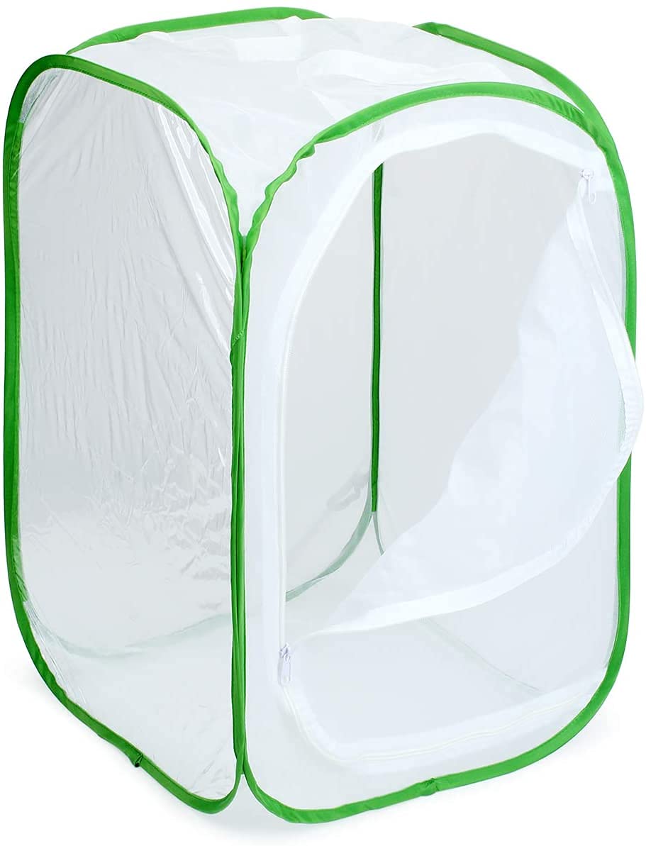 Open RESTCLOUD Butterfly Habitat showing mesh panels and vinyl window