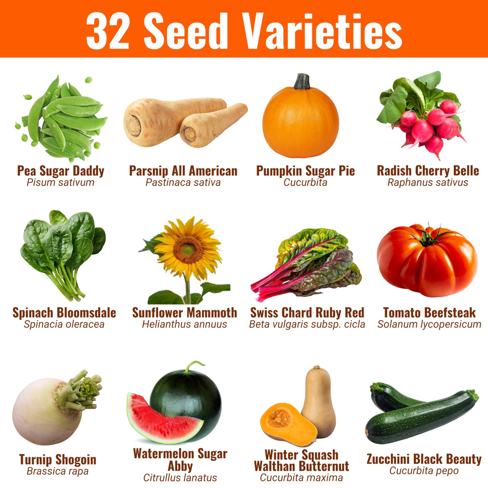 Open Seed Vault seed packets with diverse vegetable seeds
