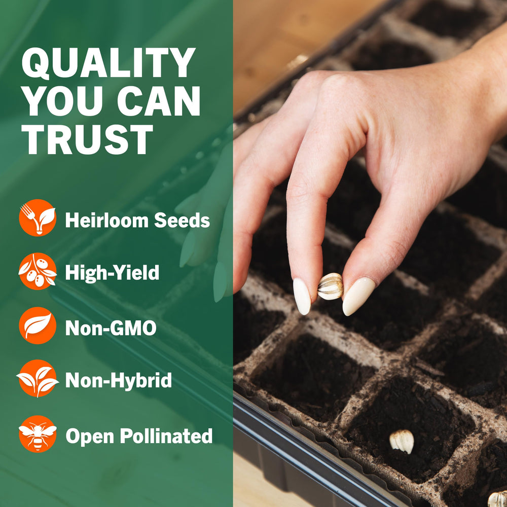 Open Seed Vault Vegetable Seeds Variety Pack on a wooden table
