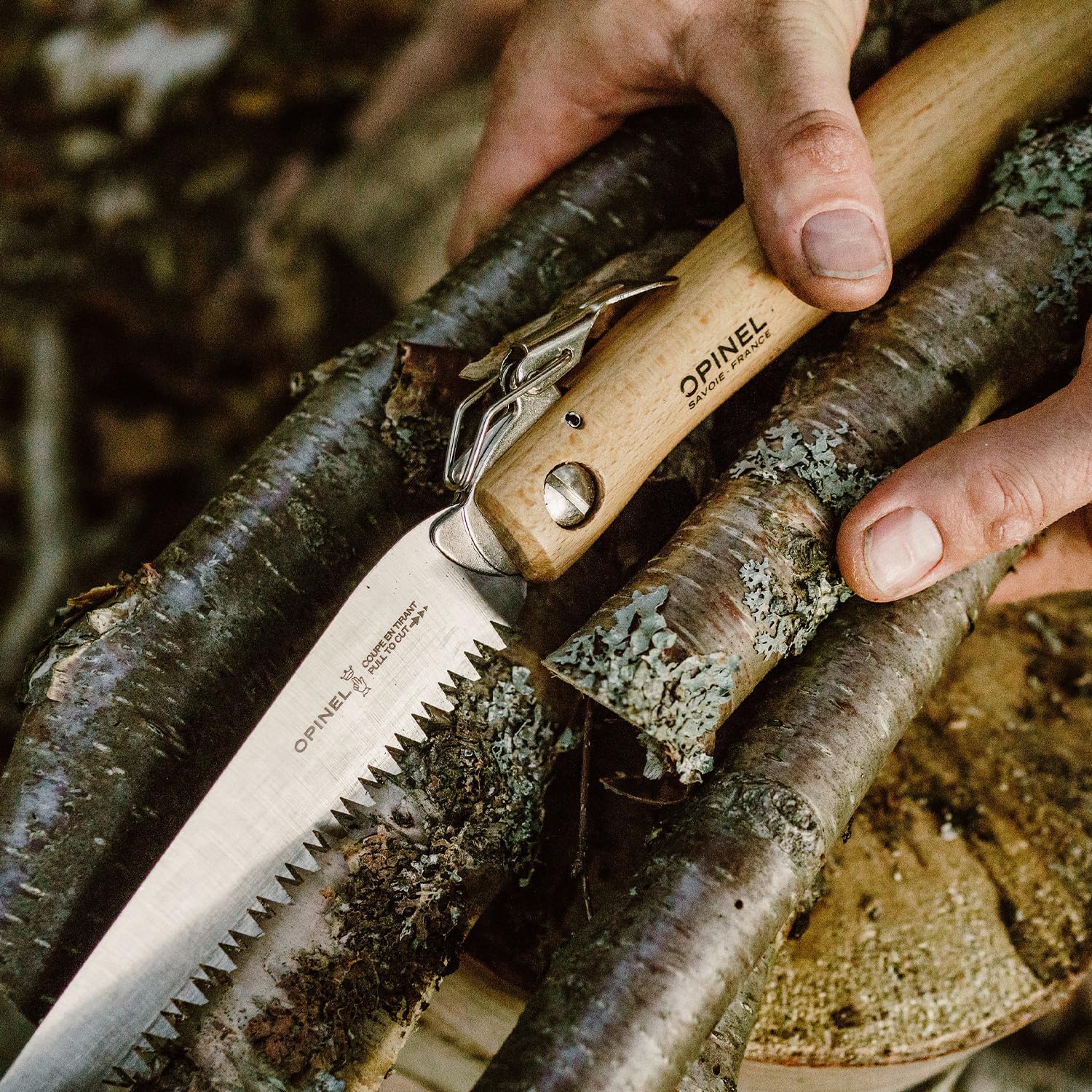 OPINEL Folding Saw No12 next to a tree branch