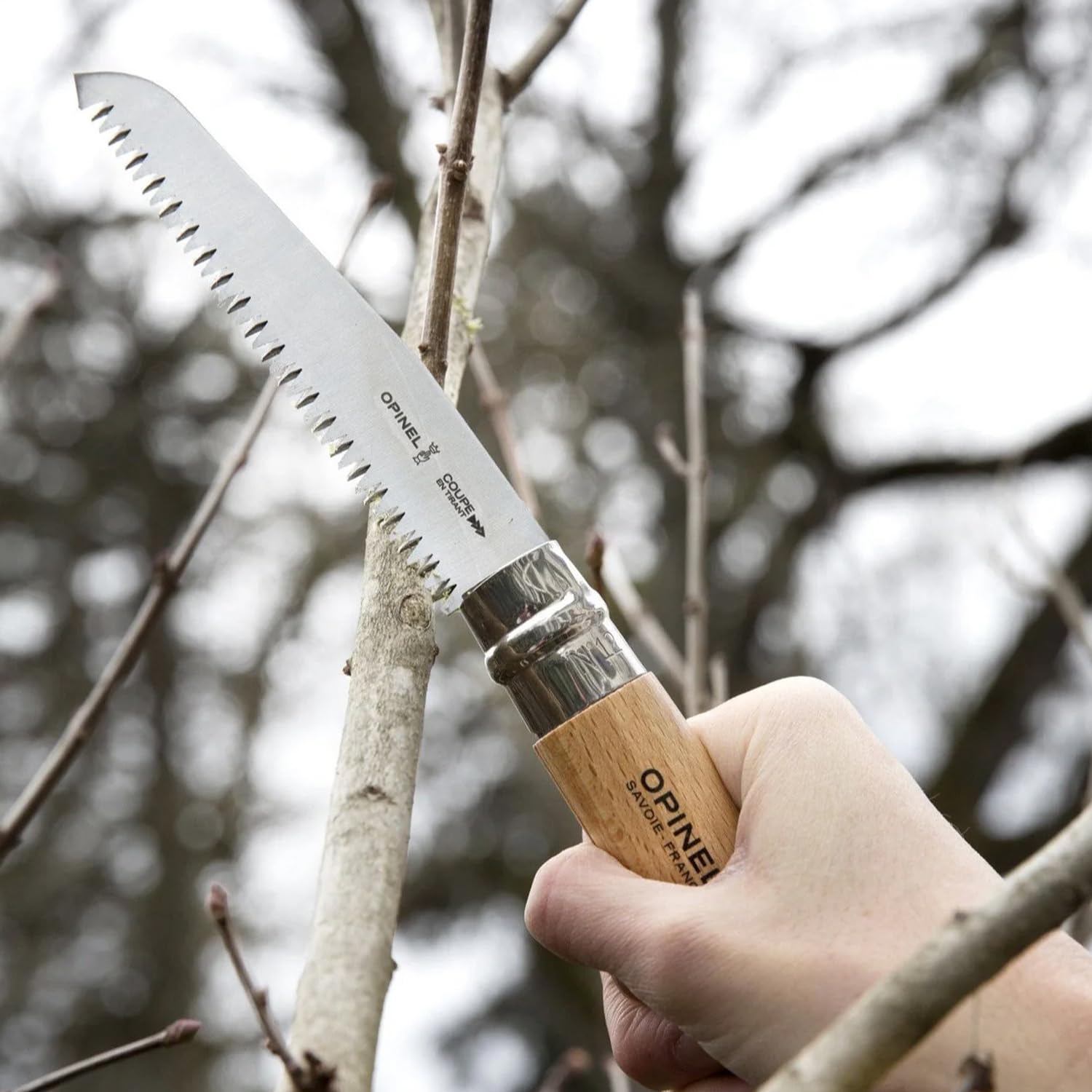 OPINEL Folding Saw with beechwood handle detail