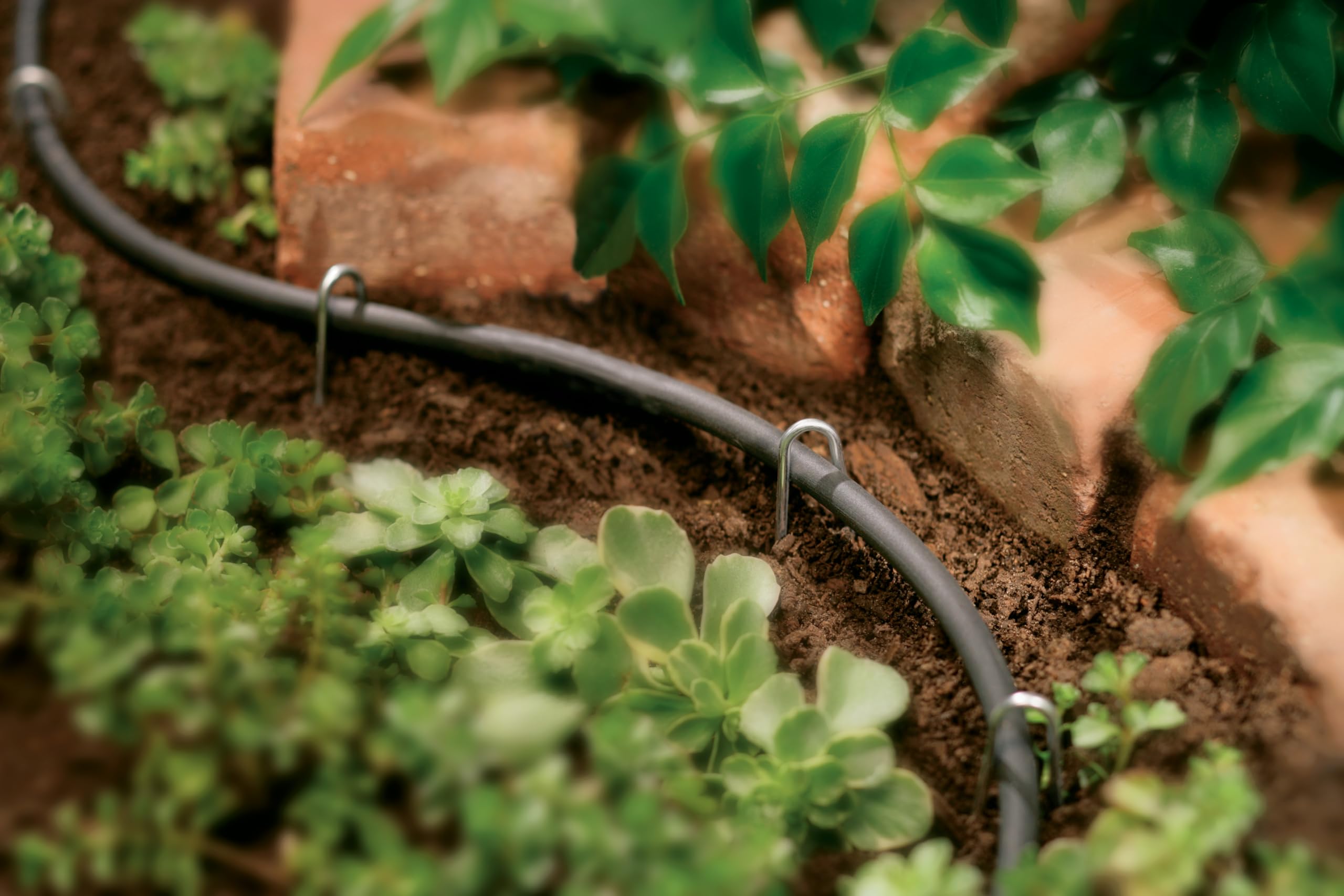 Orbit 50-foot drip blank distribution tubing with fittings