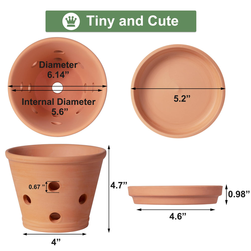 Orceler 6 Inch Terracotta Orchid Pot side view showing drainage holes
