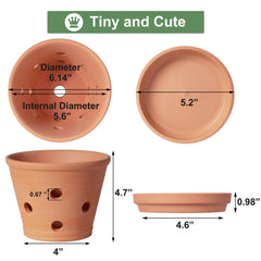 Orceler 6 Inch Terracotta Orchid Pot side view showing drainage holes