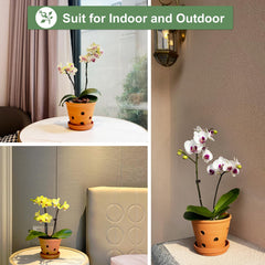 Orceler terracotta pot displayed with an orchid plant