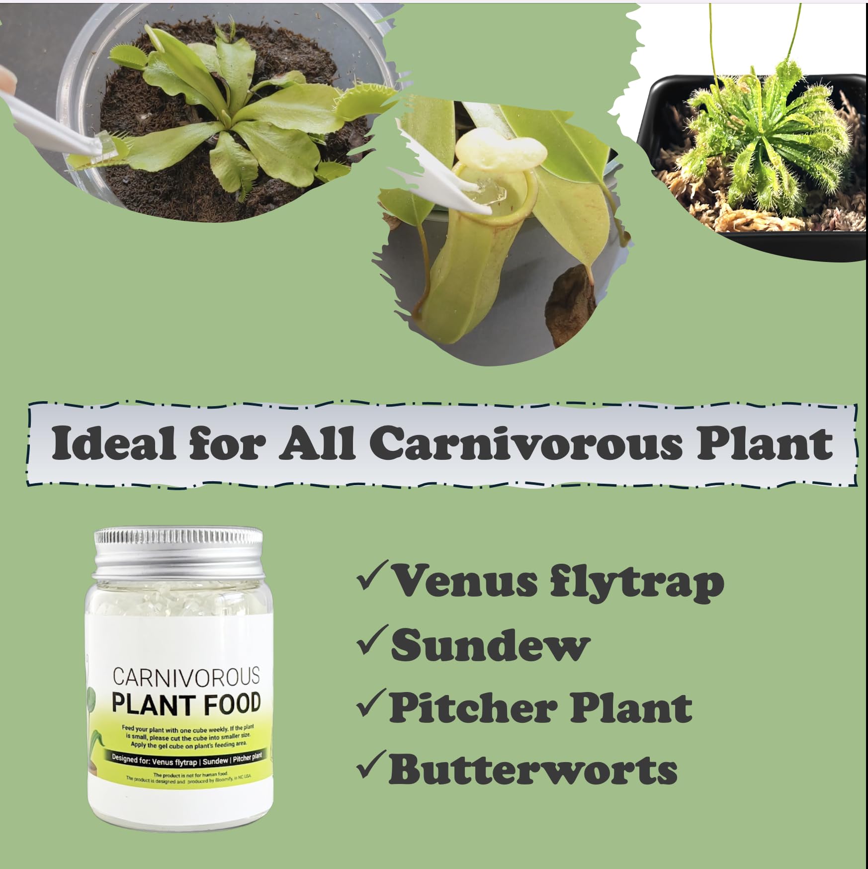 Orchid Gene Venus Flytrap Food package dimensions on scale