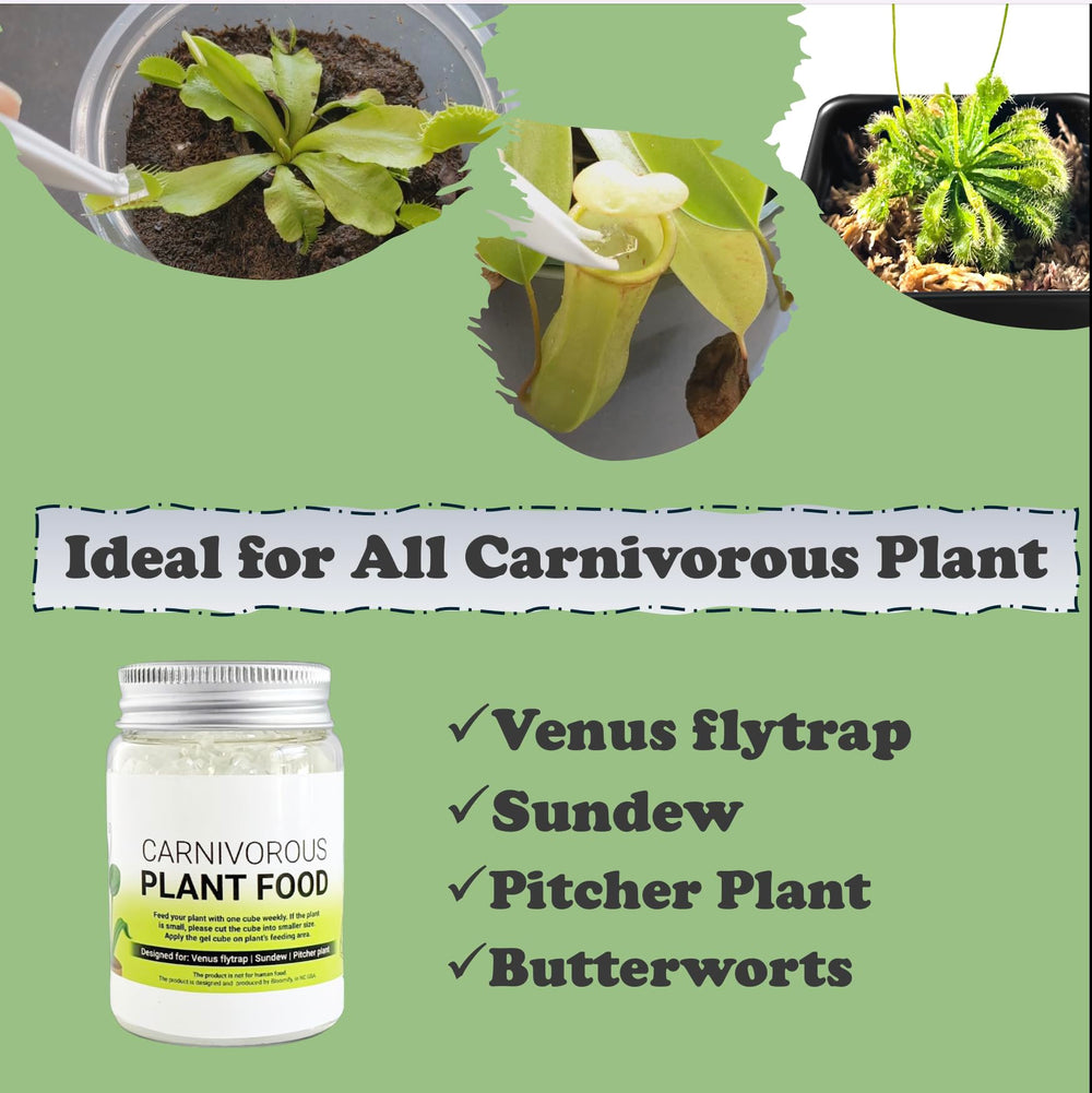 Orchid Gene Venus Flytrap Food package dimensions on scale