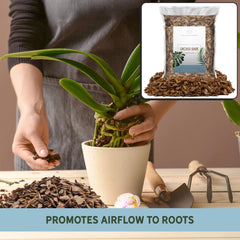 Orchid plant repotted with Rio Hamza Trading Orchid Bark