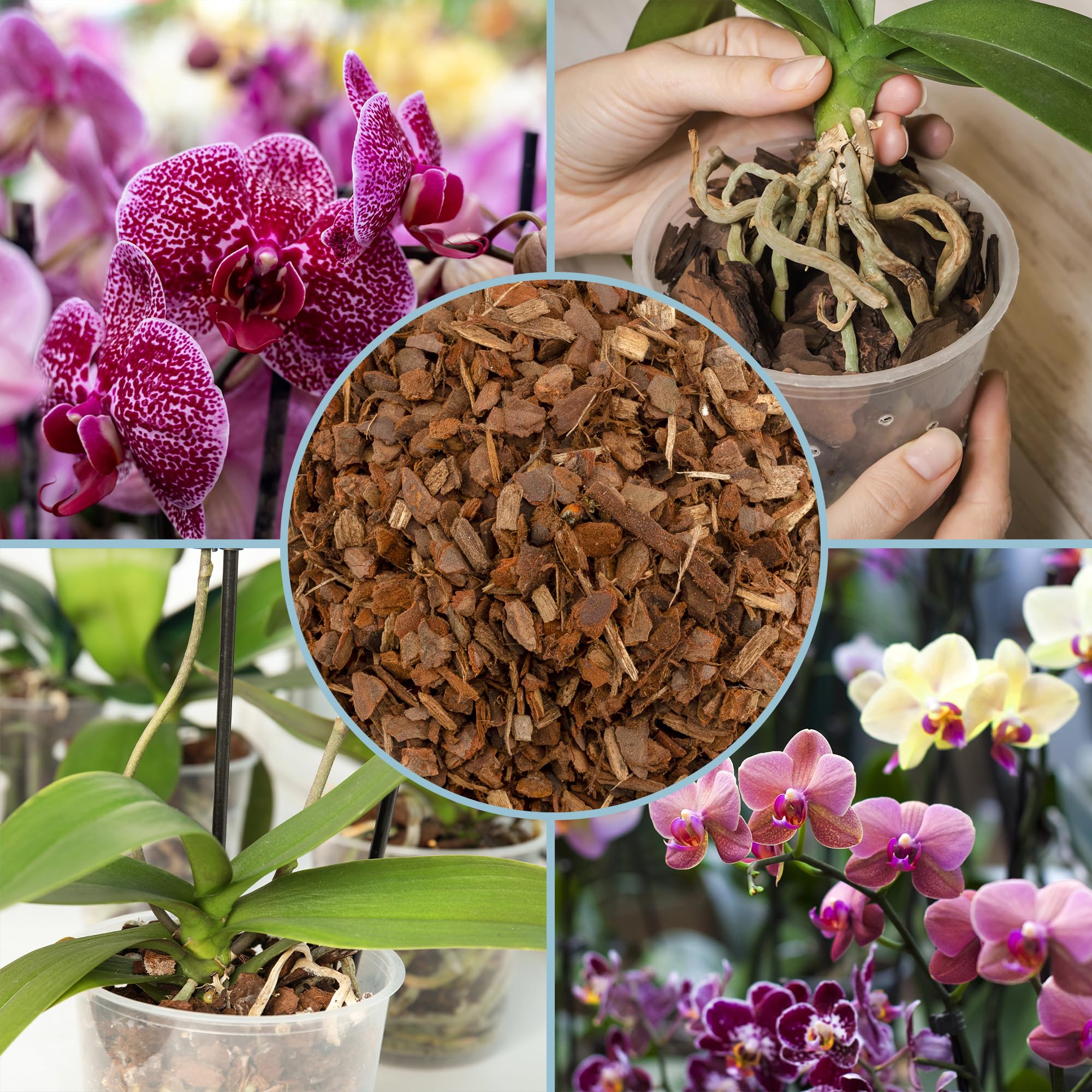 Organic Orchid Bark 8 Quarts packaging details