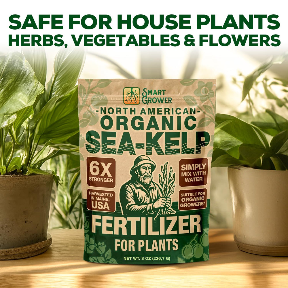 Organic Sea-Kelp Fertilizer powder close-up