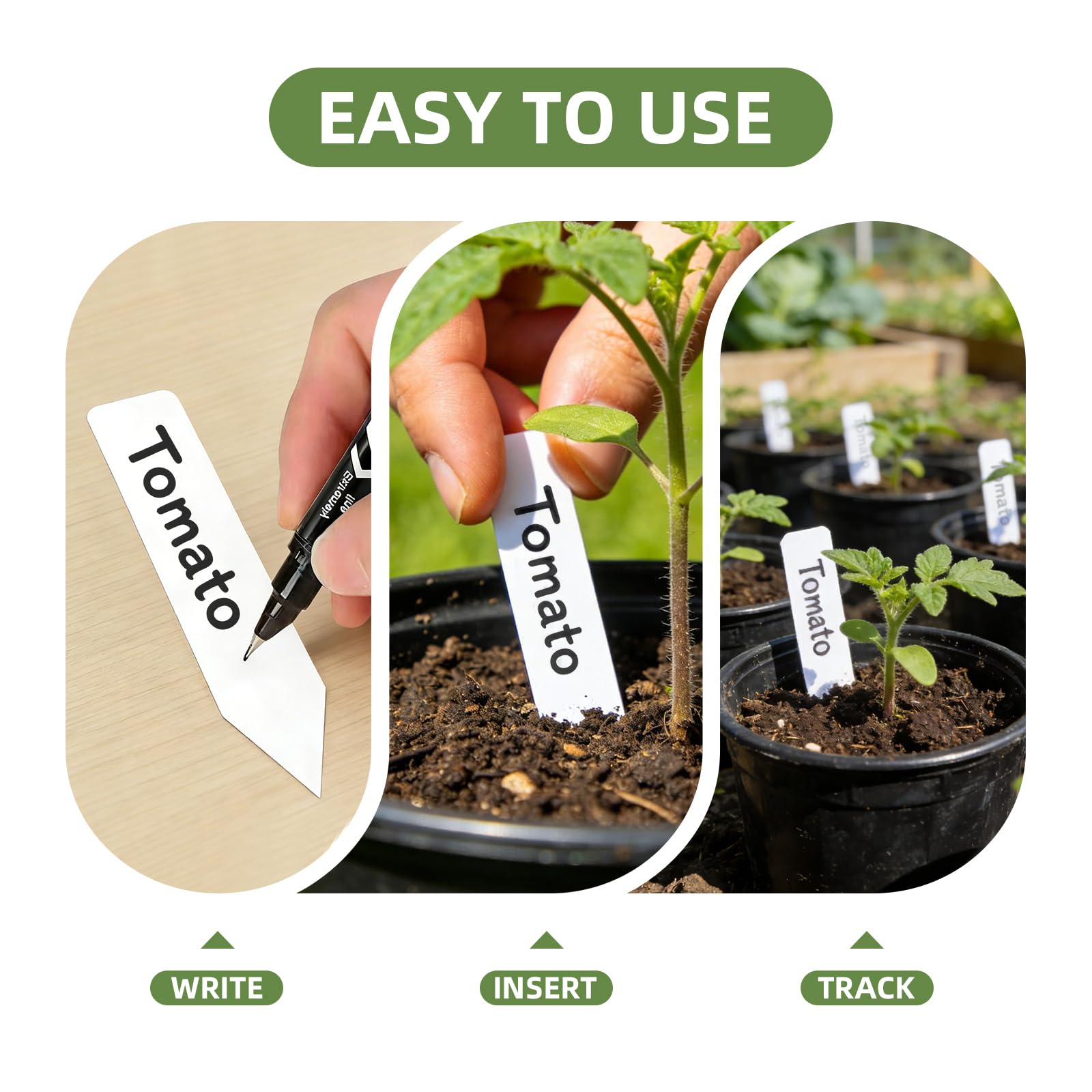 Organized garden with CLEANGOR plant labels