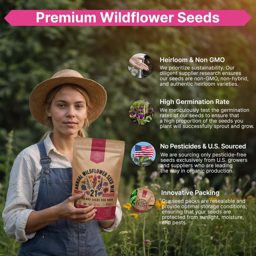 Organizing wildflower seeds for planting indoors