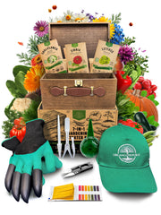 Organo Republic 75 Medicinal & Tea Herb Seeds Variety Pack front view