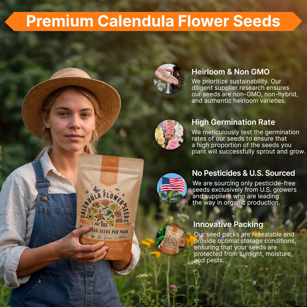 Organo Republic Calendula Seeds Pack dimensions and details