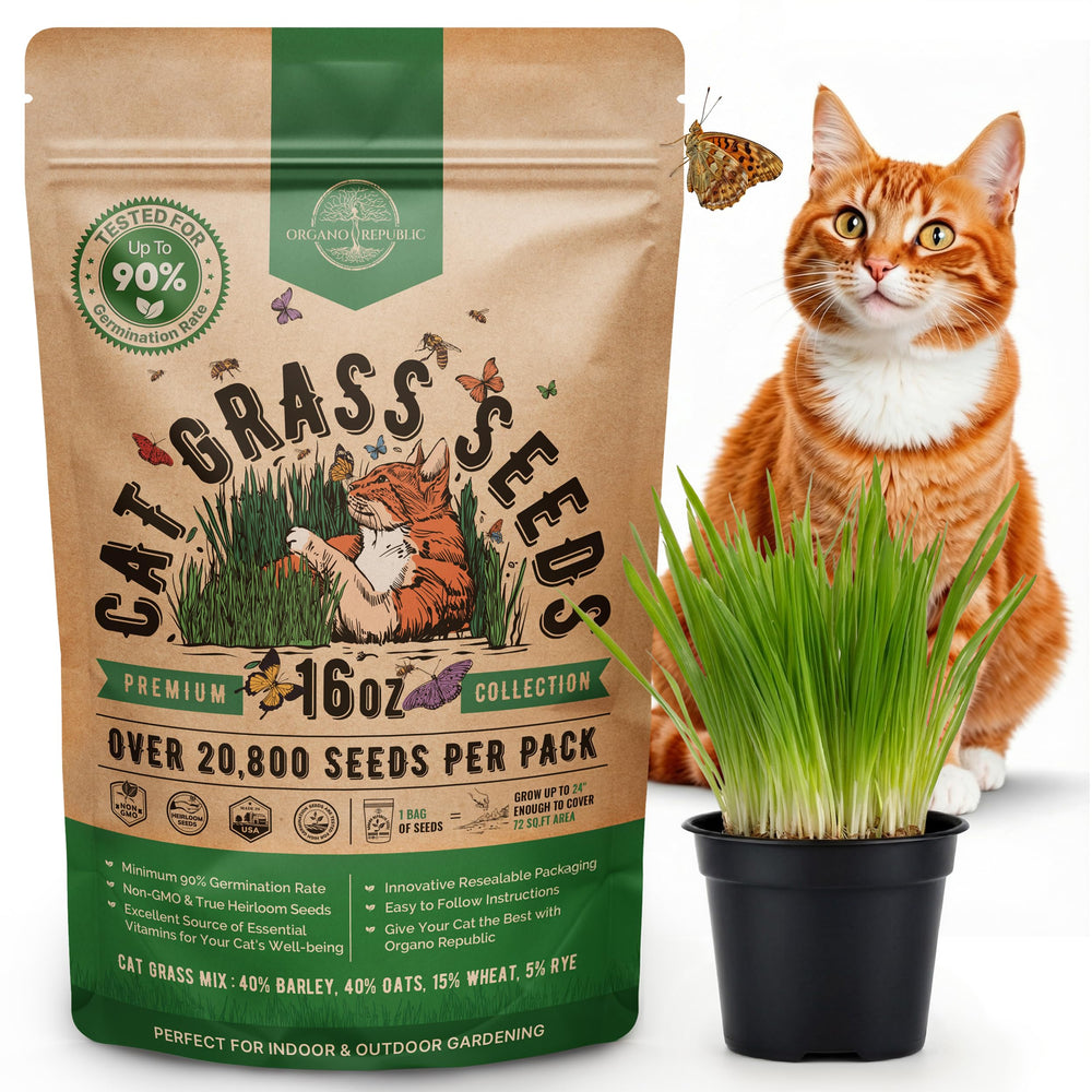 Organo Republic Cat Grass Seeds Mix 16 oz front view