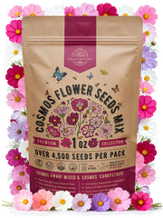 Organo Republic Cosmos flower seeds pack front view, resealable bag