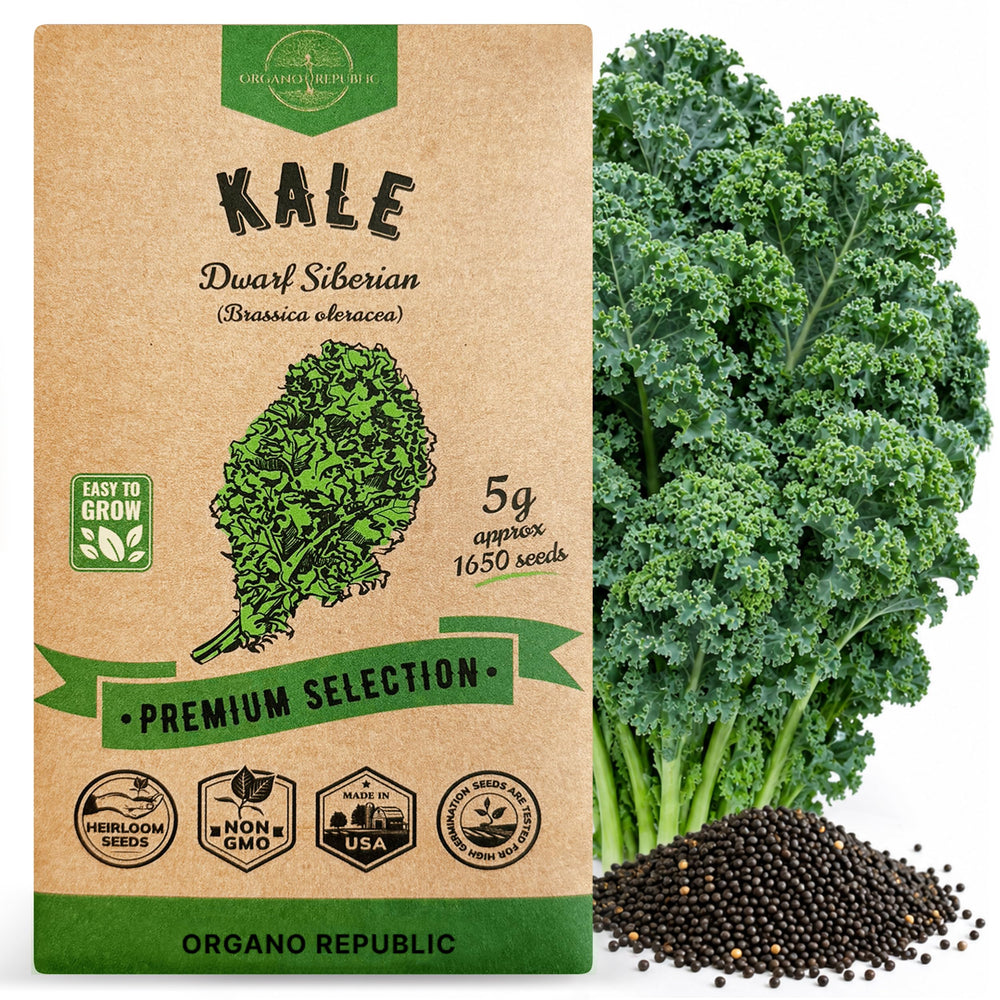 Organo Republic Kale Dwarf Siberian Seeds Pack front view