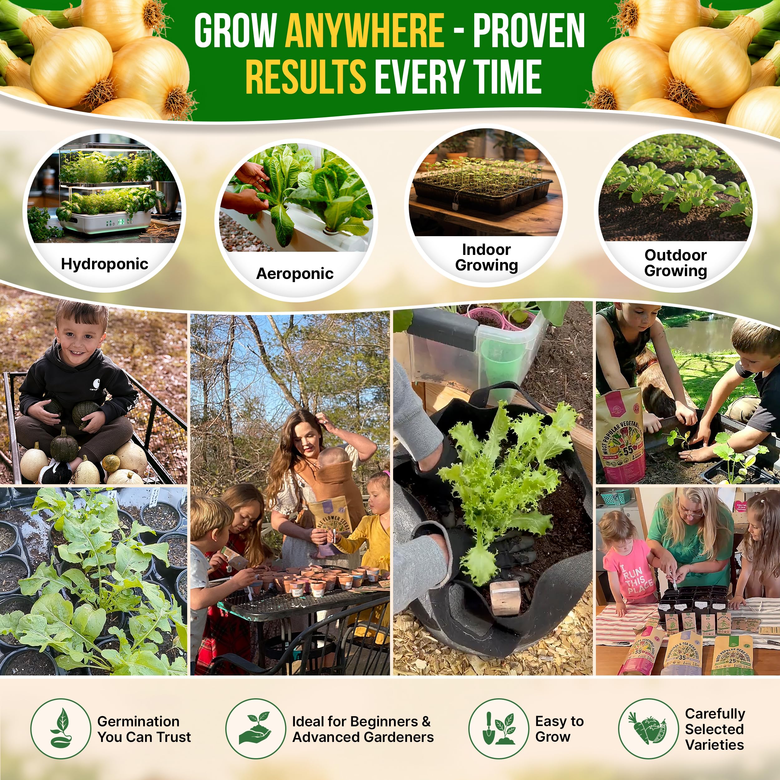 Organo Republic Onion Seeds Pack next to freshly harvested Walla Walla onions