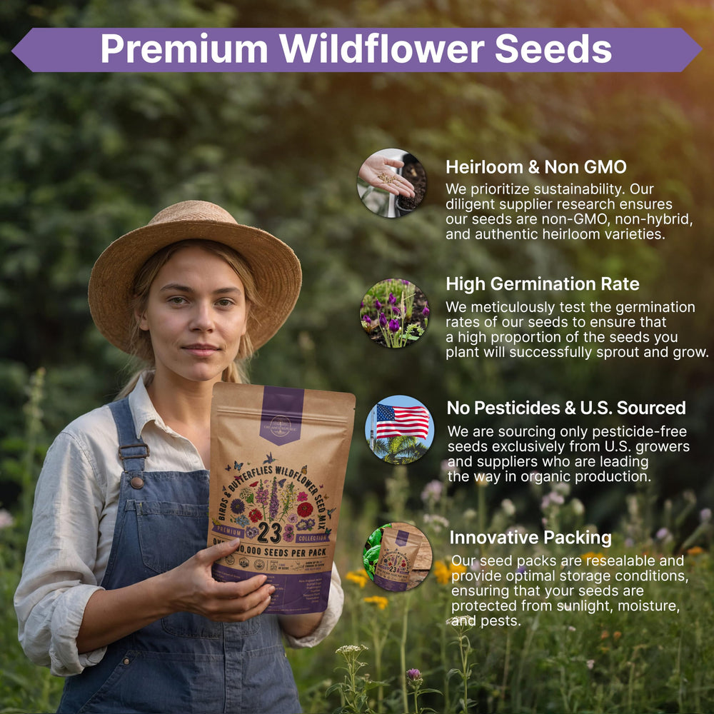 Organo Republic wildflower seeds packet back view with instructions