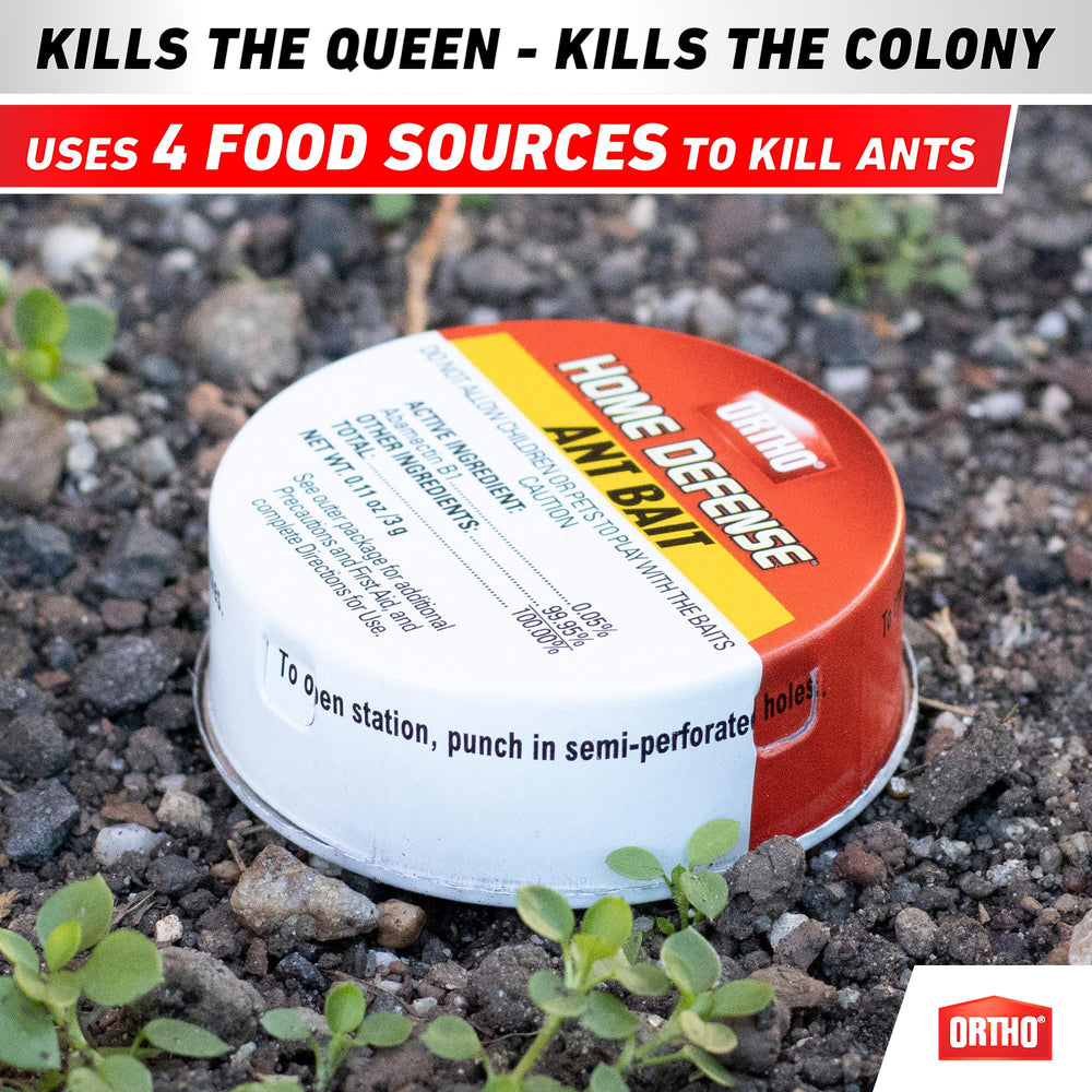 Ortho Ant Traps in a garden setting for outdoor ant control