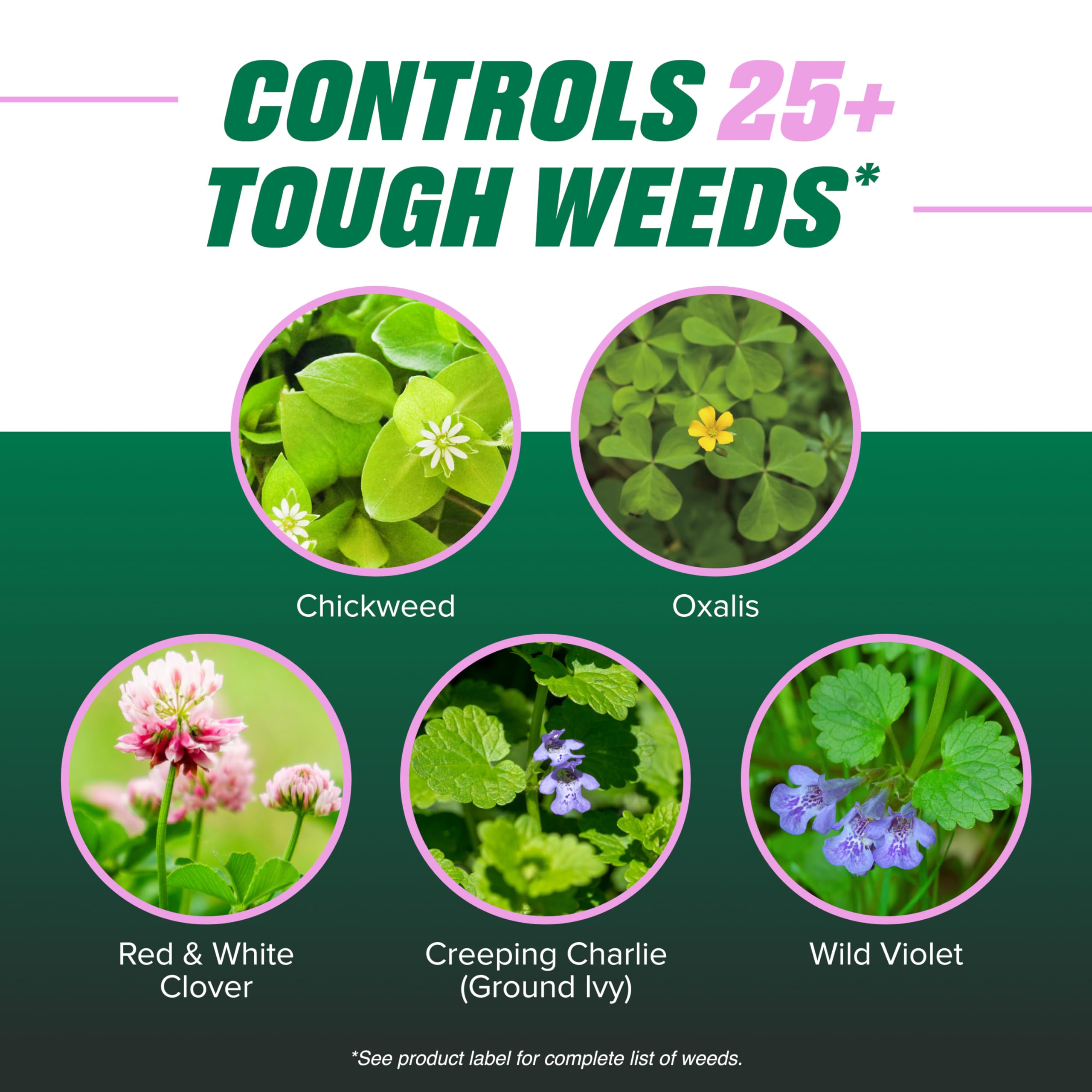 Ortho Chickweed, Clover & Oxalis Killer Concentrate beside a lawn