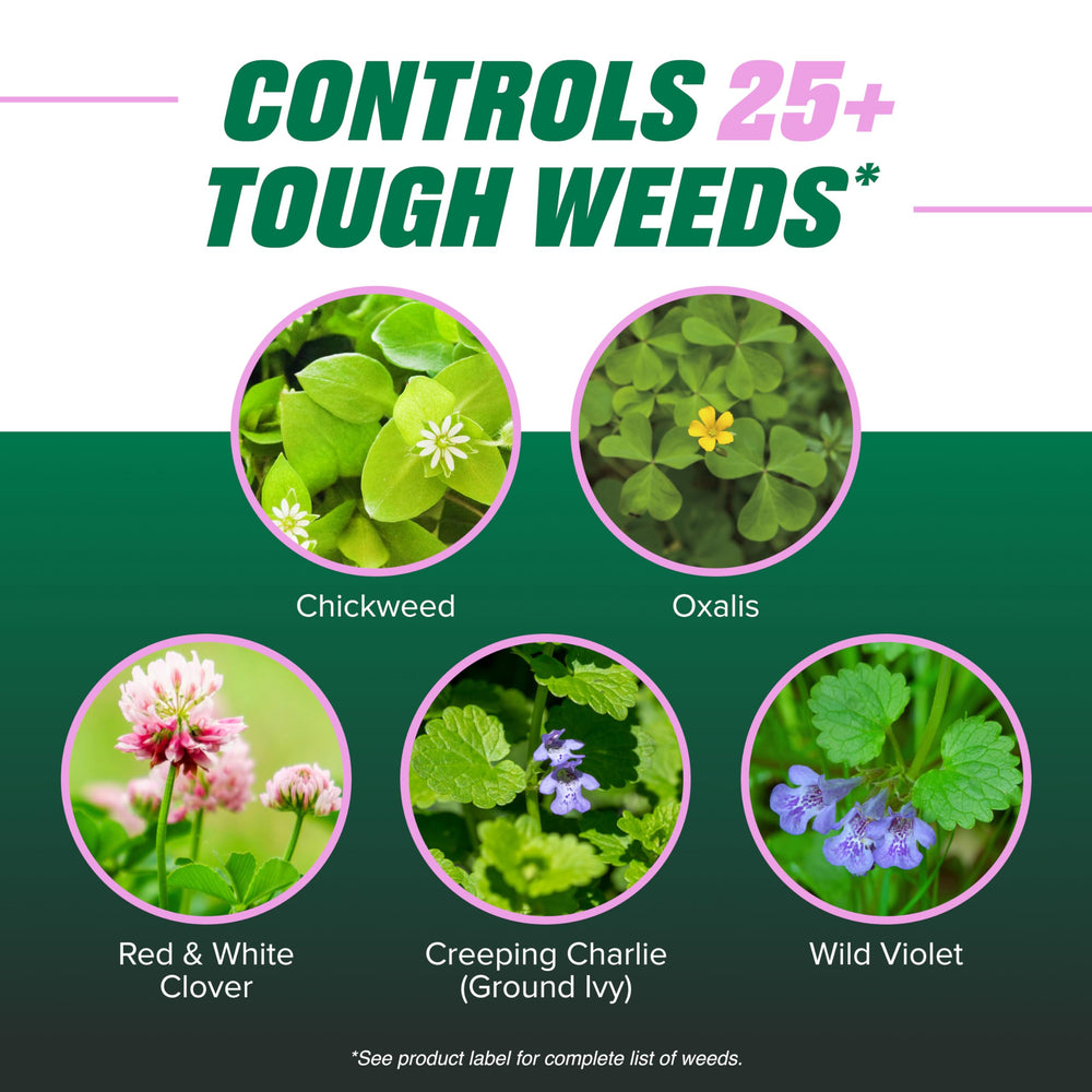 Ortho Chickweed, Clover & Oxalis Killer Concentrate beside a lawn