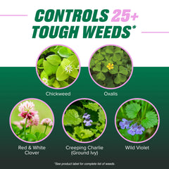 Ortho Chickweed, Clover & Oxalis Killer Concentrate beside a lawn