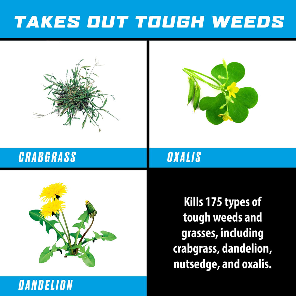 Ortho GroundClear Super Weed & Grass Killer 24 fl. oz. side view