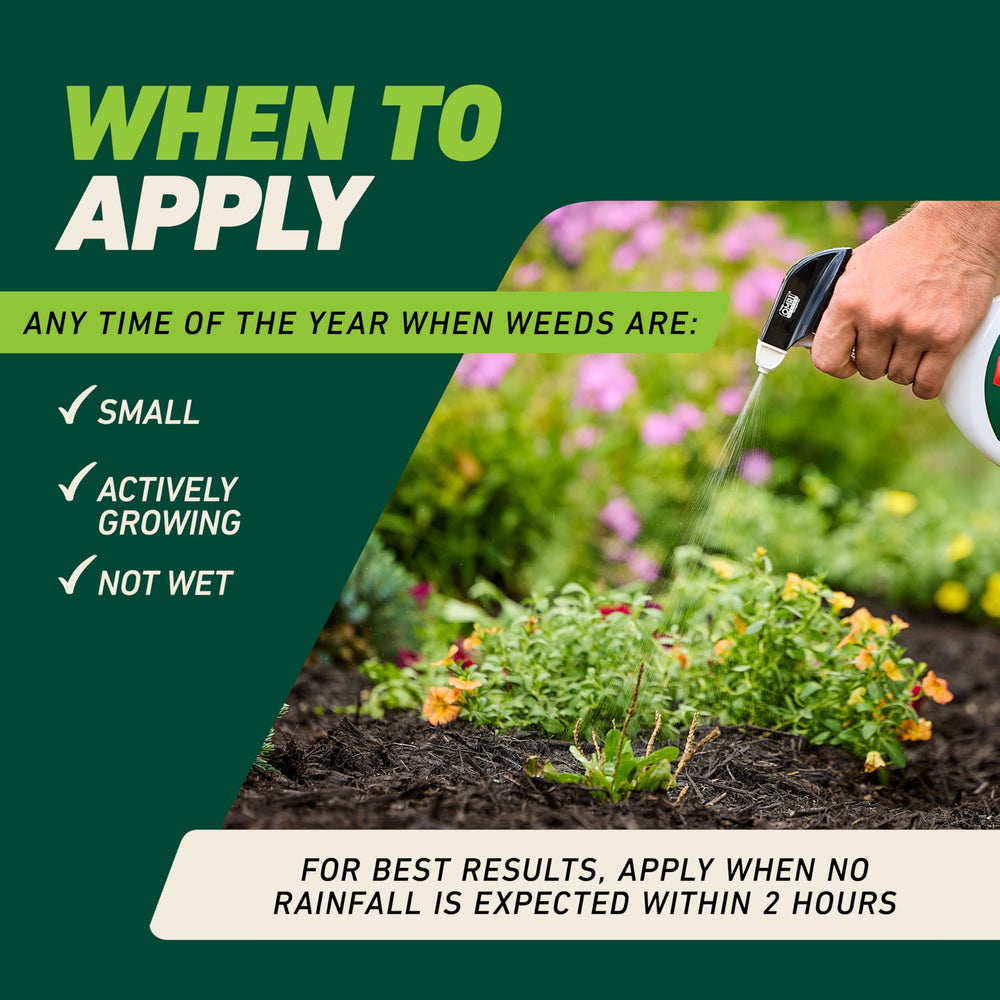 Ortho GroundClear Weed & Grass Killer application in landscape bed