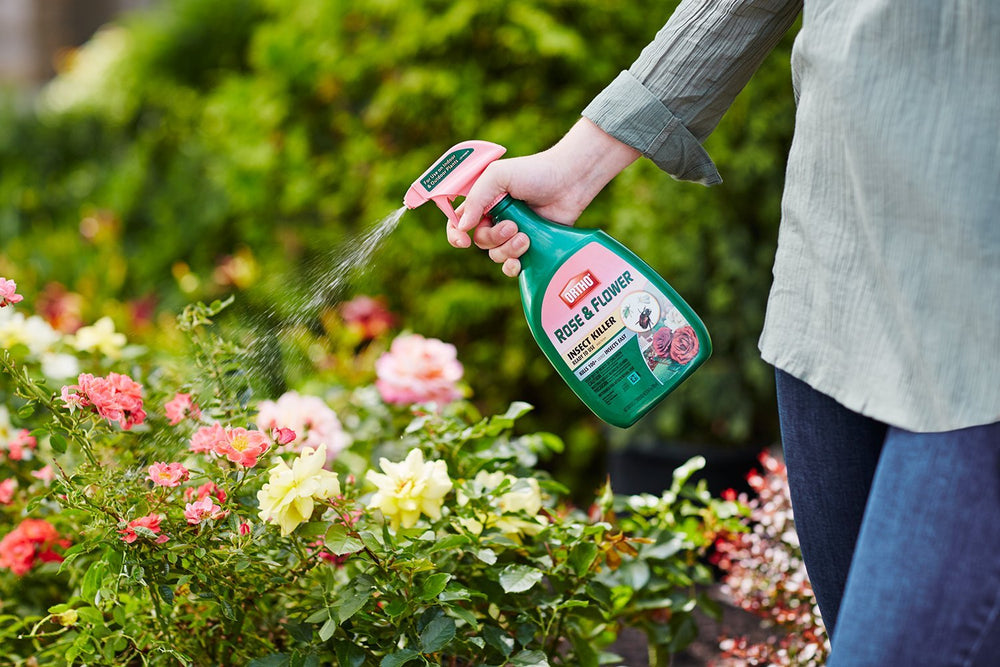 Ortho Rose and Flower Insect Killer packaging with label details