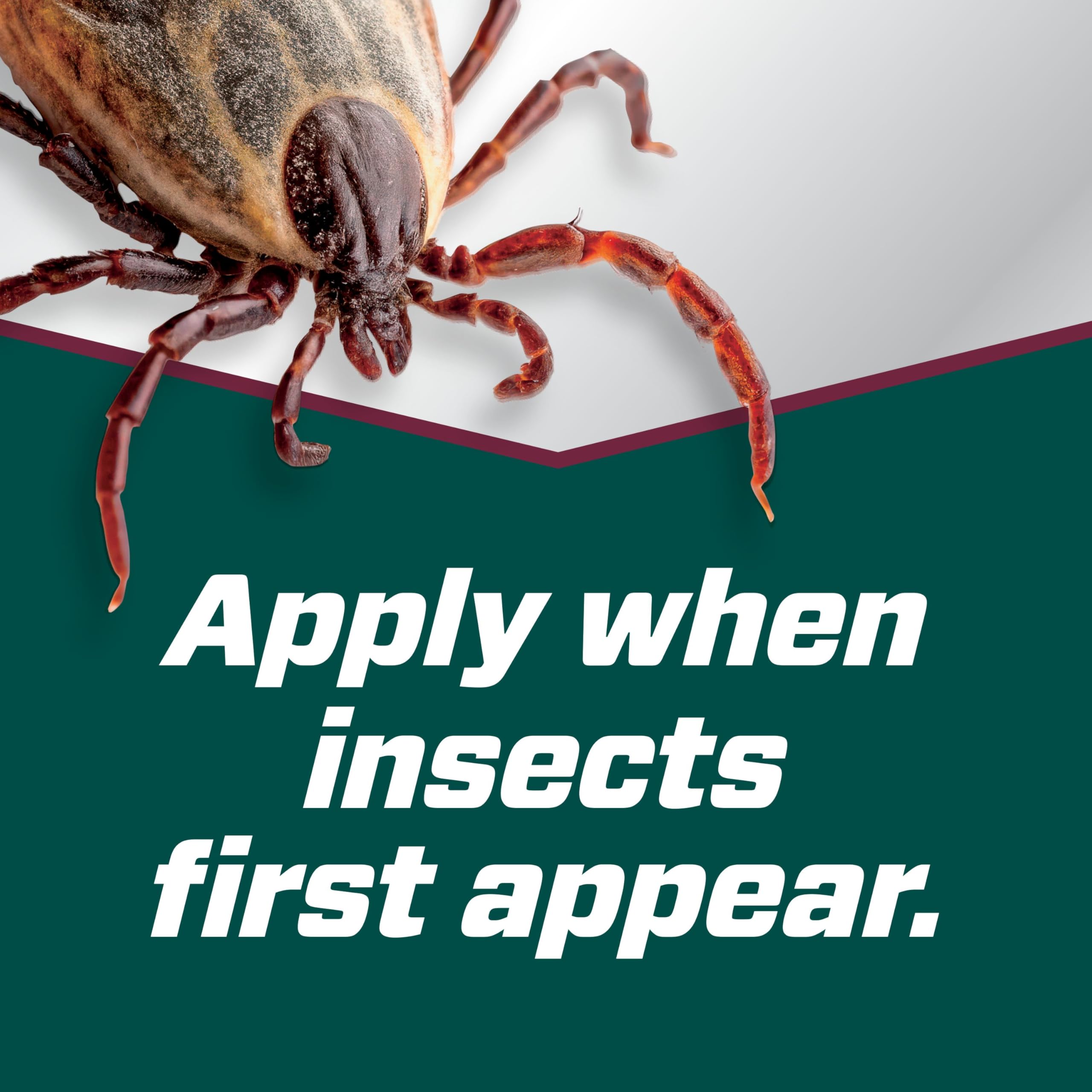 Ortho Tick B-gon Tick Killer Ready-to-Spray packaging