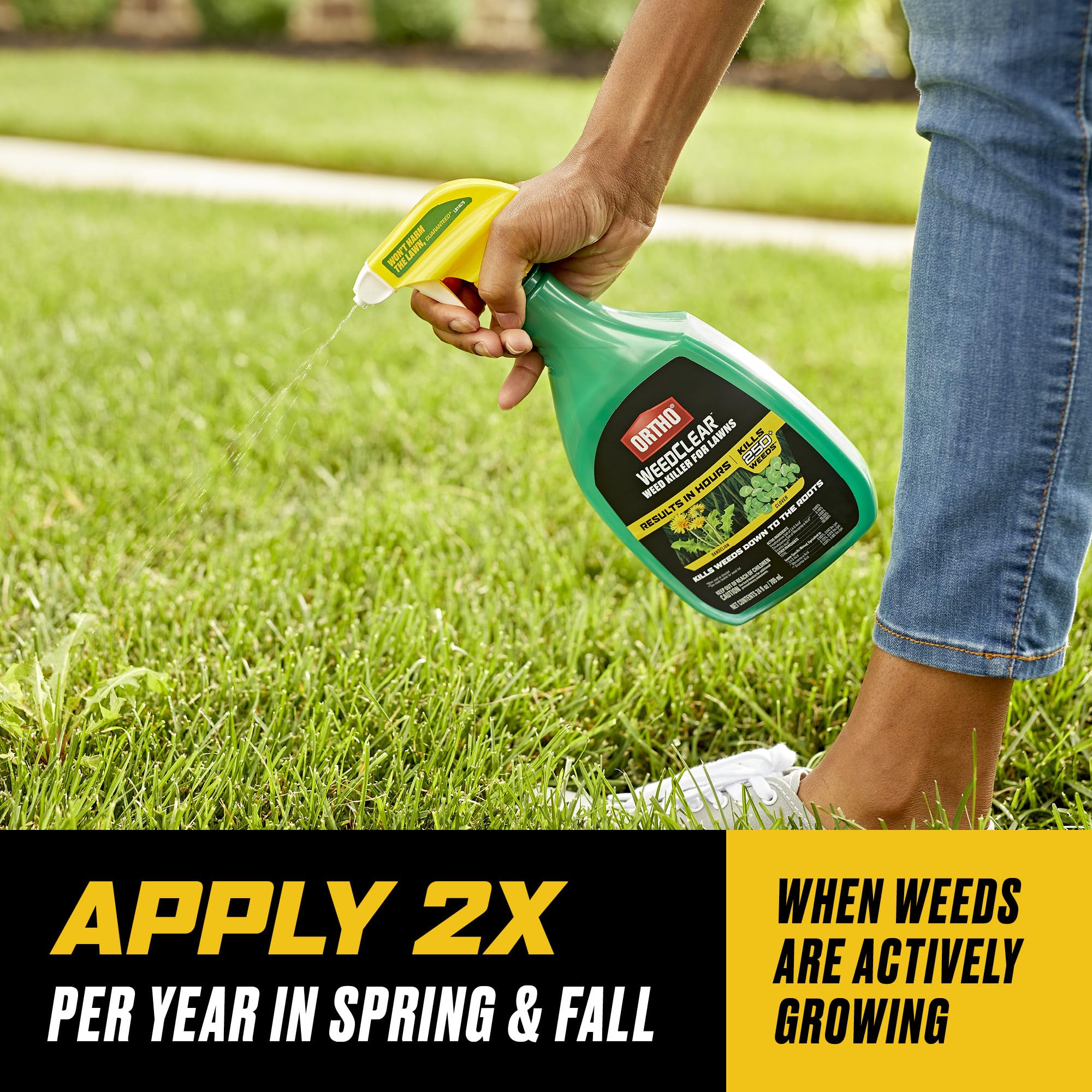 Ortho WeedClear Weed Killer application demonstration