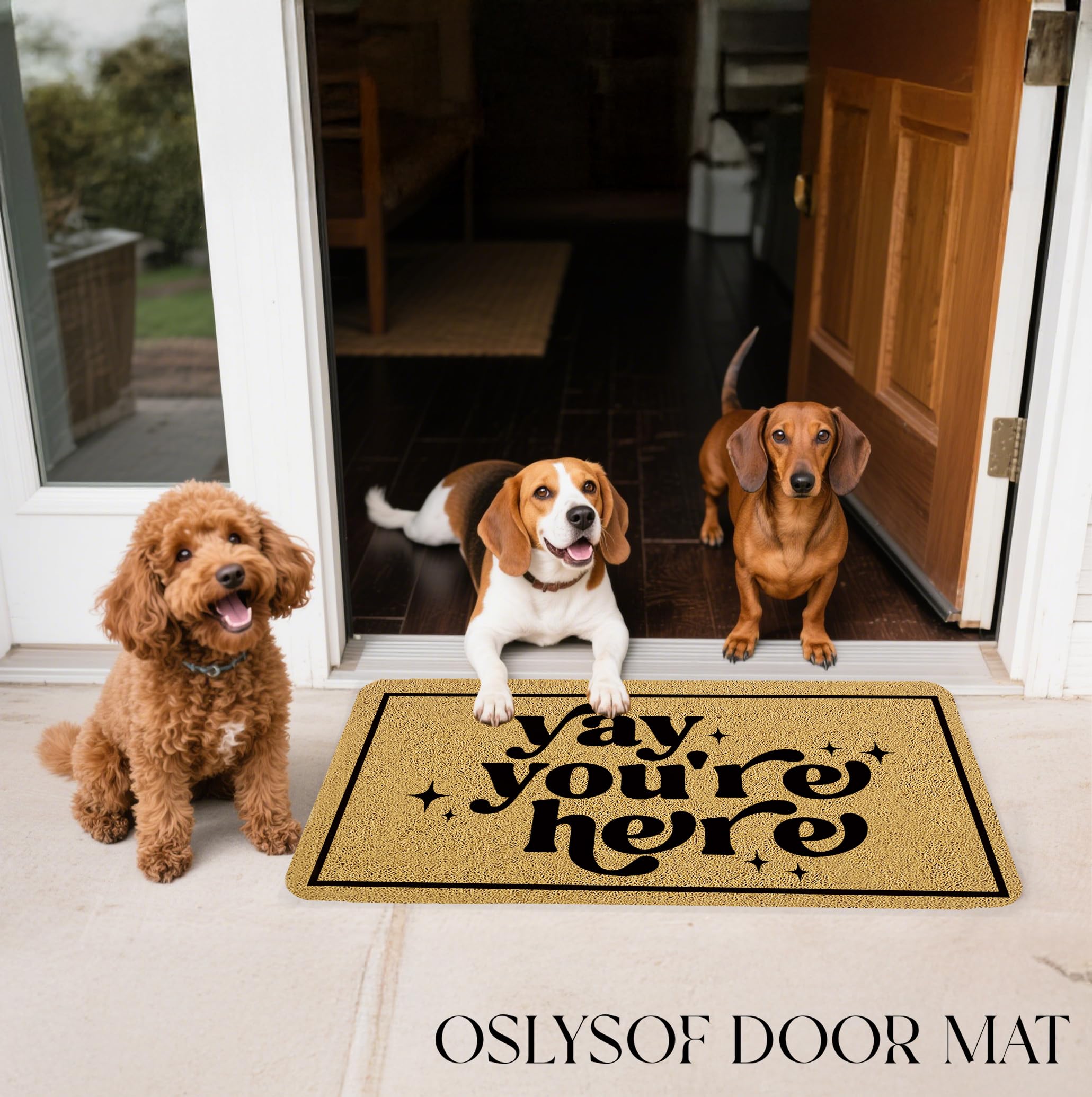 OSLYSOF Funny Welcome Door Mat on a porch entrance