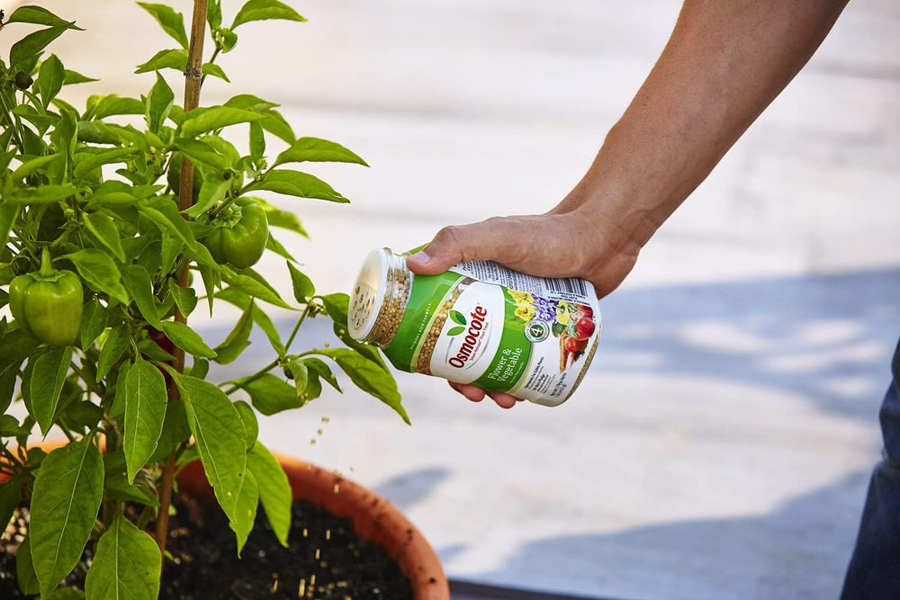 Osmocote Plant Food 2 pack displayed on a table