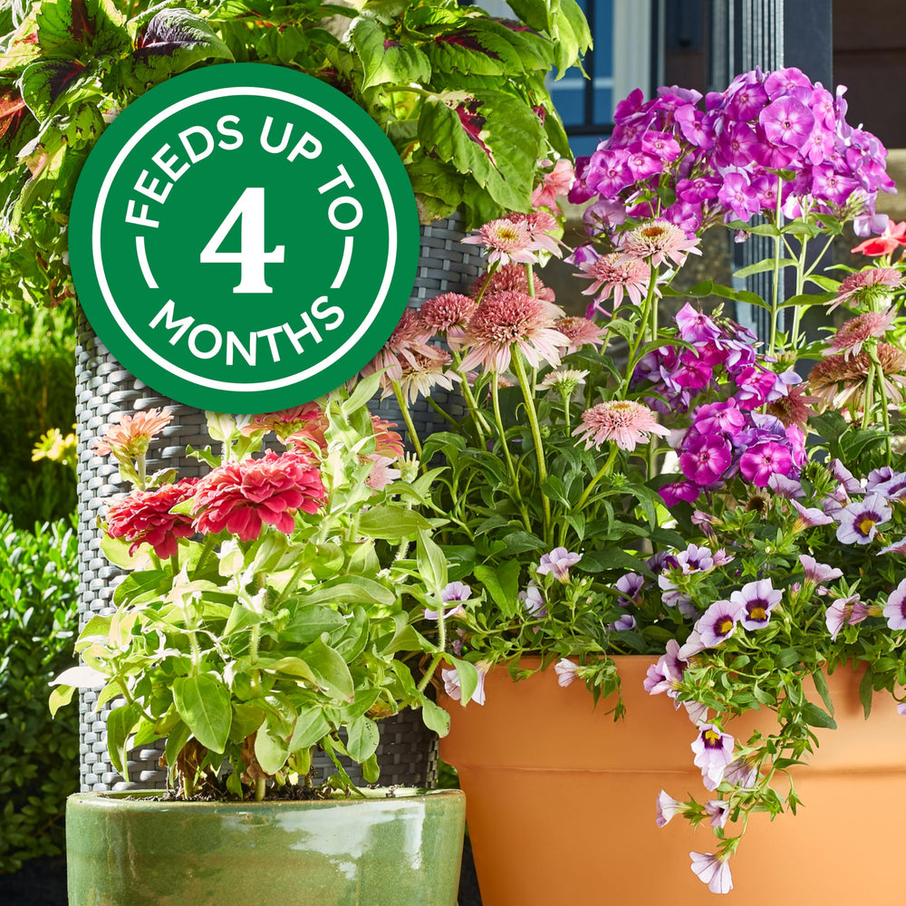 Osmocote plant food with blooming flowers in the background