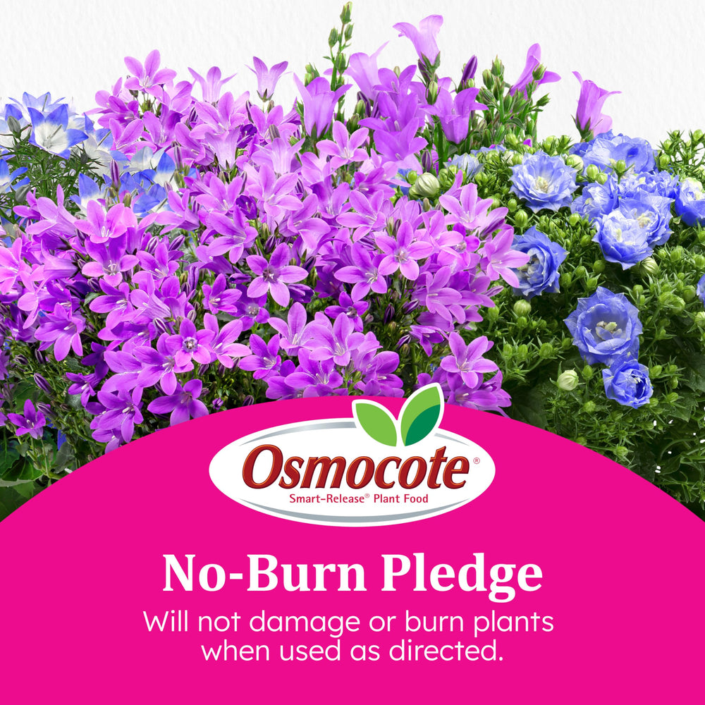 Osmocote Smart-Release Plant Food Plus granules in garden soil