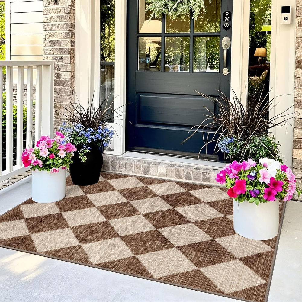 Othilic 3x5 Entry Rug in a modern entryway