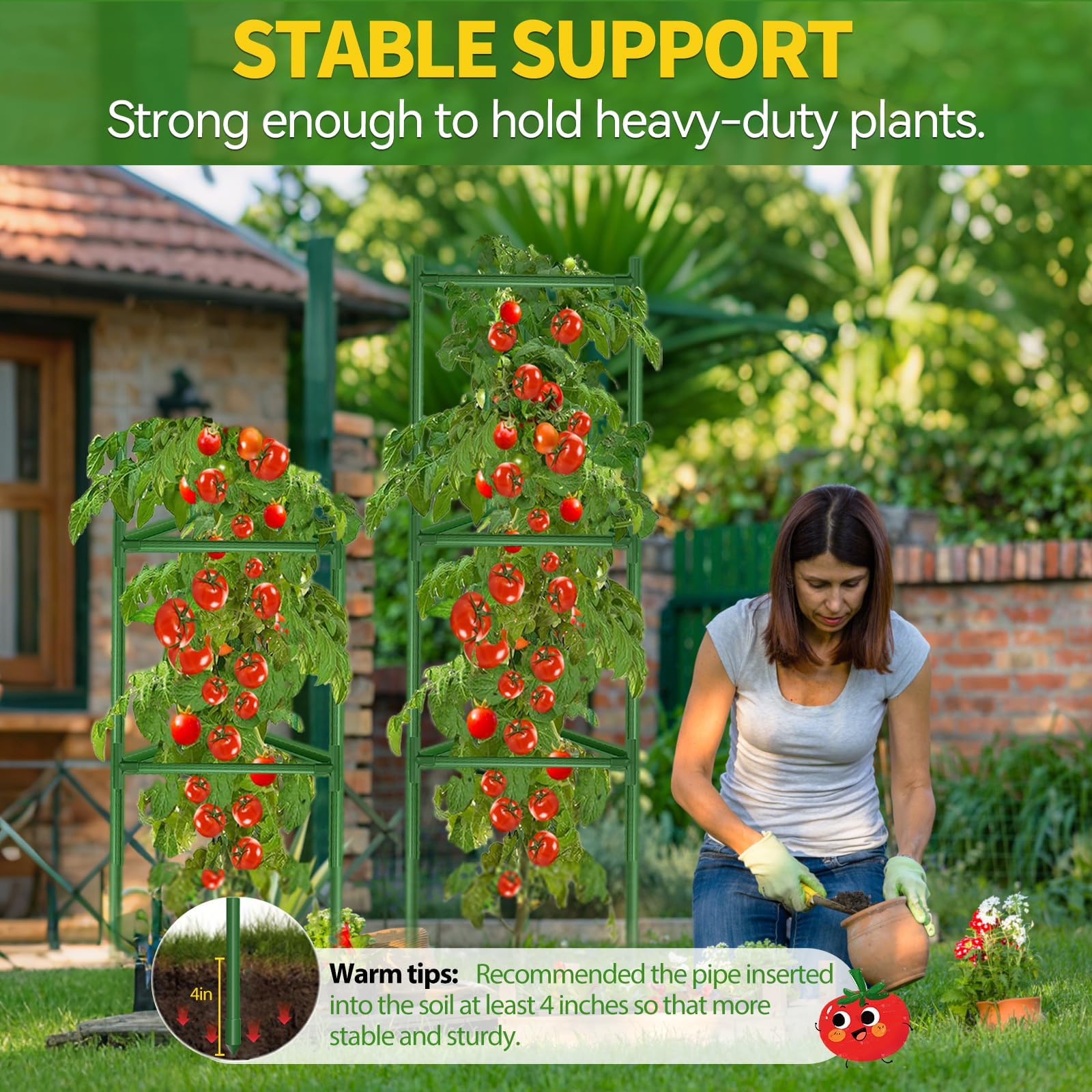 OUREST Large Tomato Cage with multiple plants growing upright