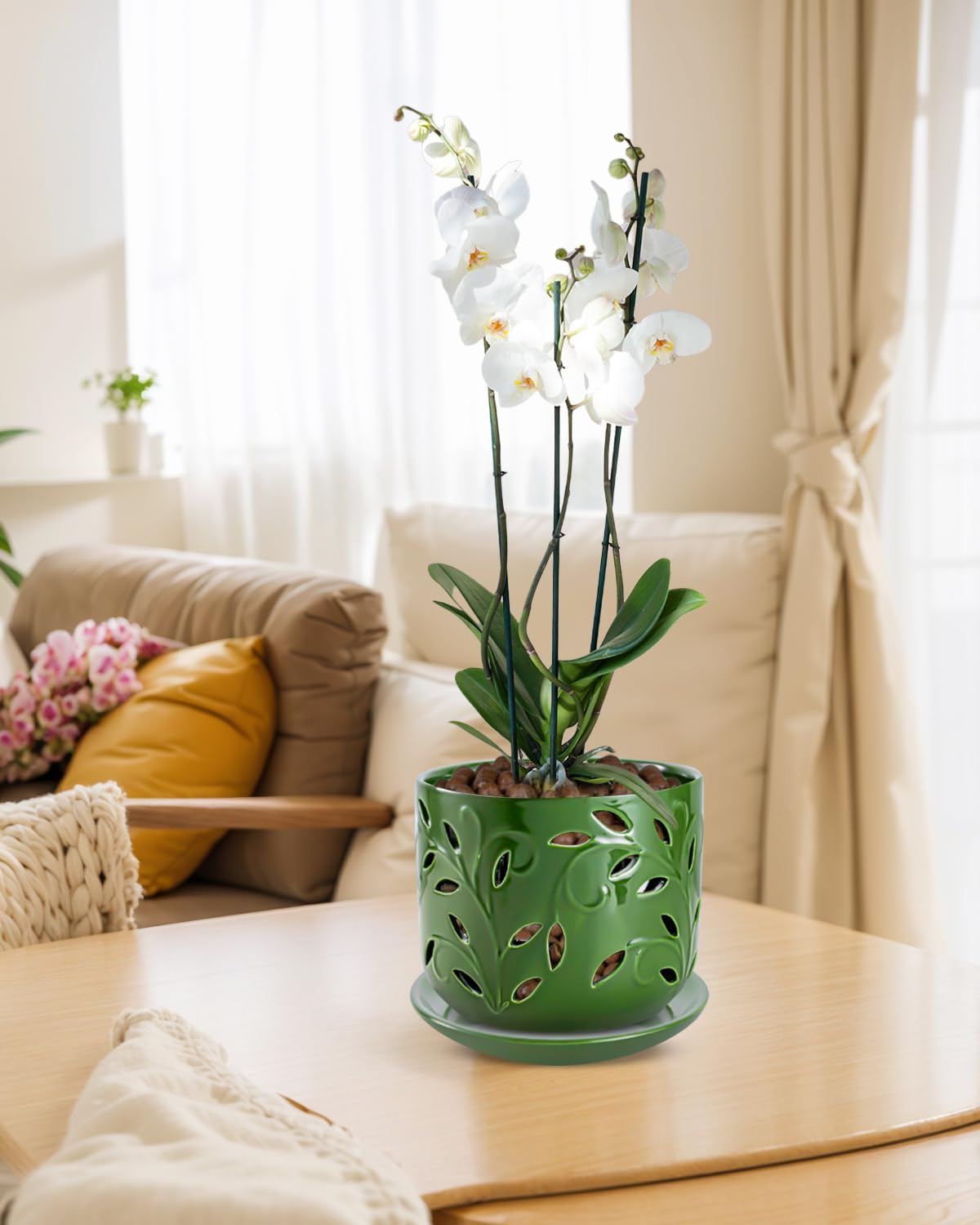 Outdoor display of EFISPSS Orchid Pot under sunlight
