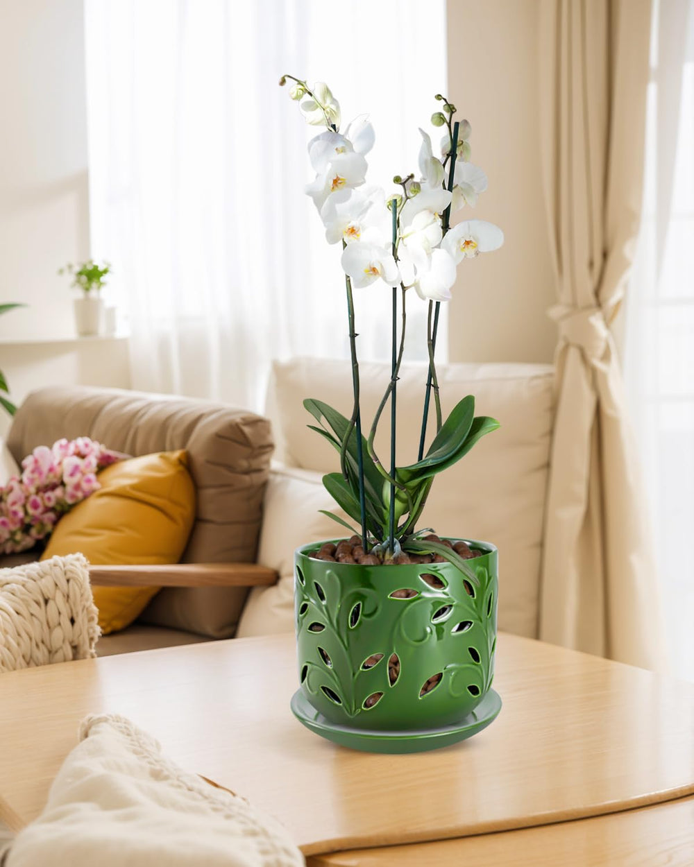Outdoor display of EFISPSS Orchid Pot under sunlight